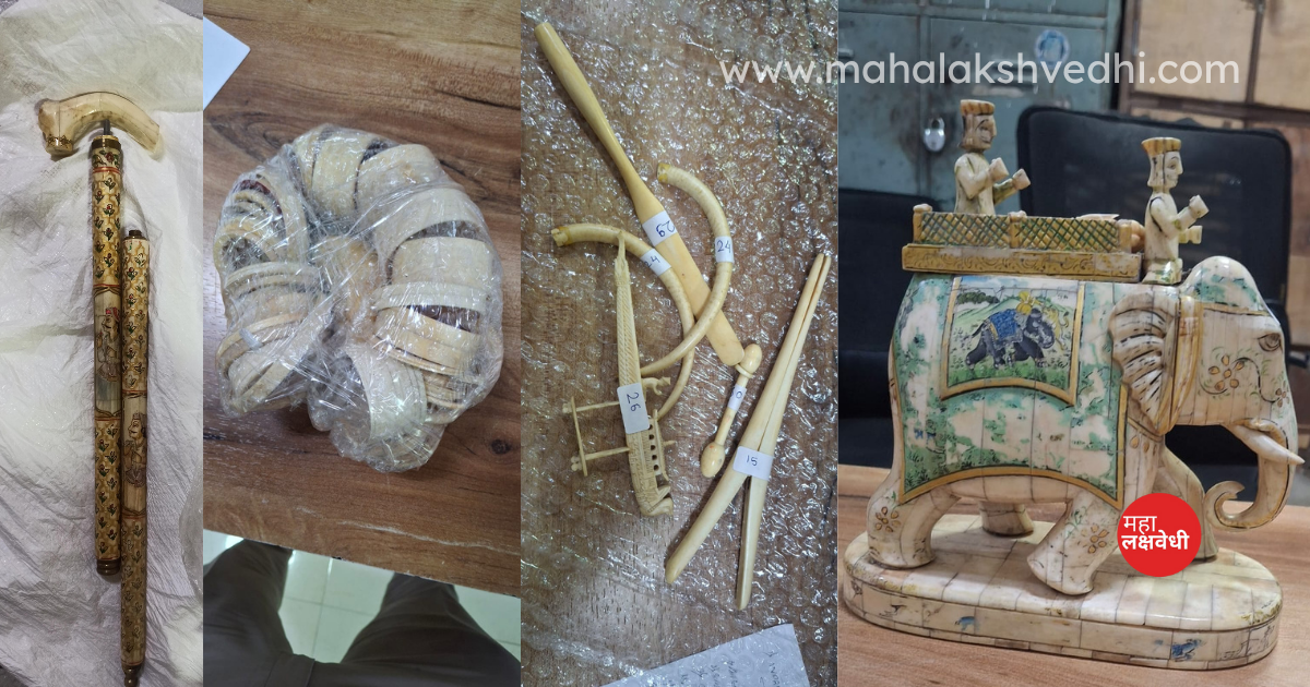 www.mahalakshvedhi.com (2)