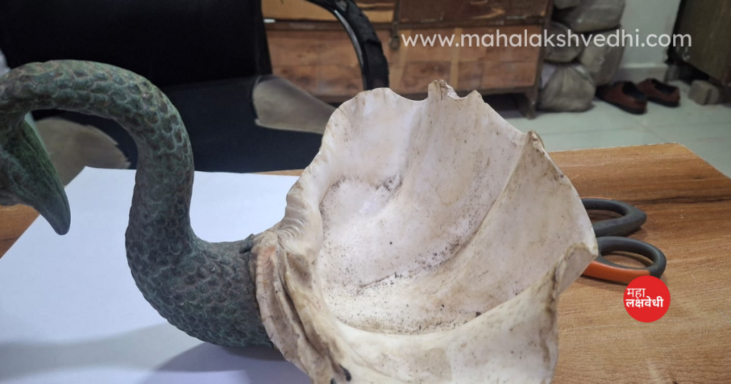 www.mahalakshvedhi.com (3)